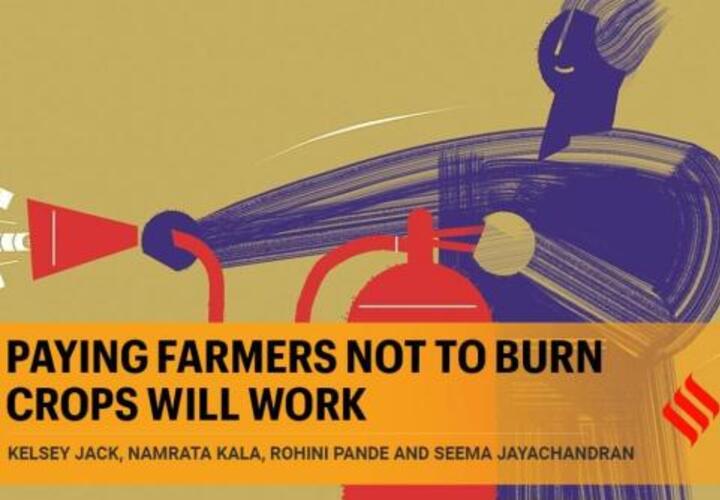 Paying farmers not to burn crops poster